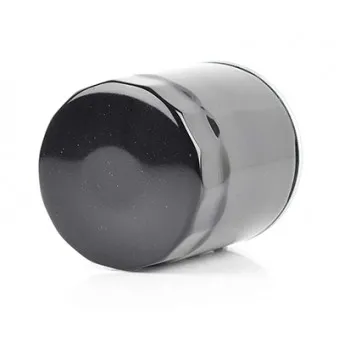 Filtre à carburant BSG