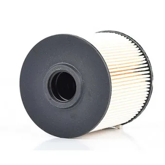 Filtre à carburant BSG