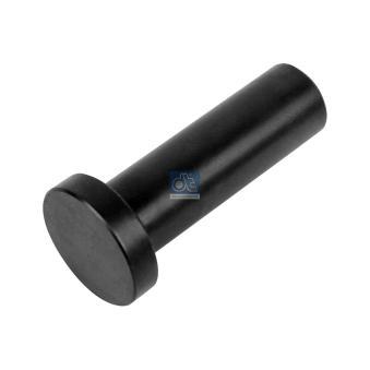 Poussoir de soupape DT