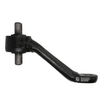 Triangle ou bras de suspension (train arrière) REINHOCH RH53-9012