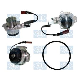 Pompe à eau, refroidissement du moteur Saleri SIL PA1869