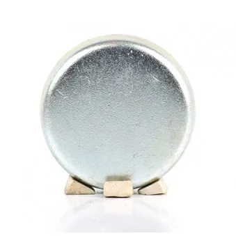 Bouchon de dilatation BSG