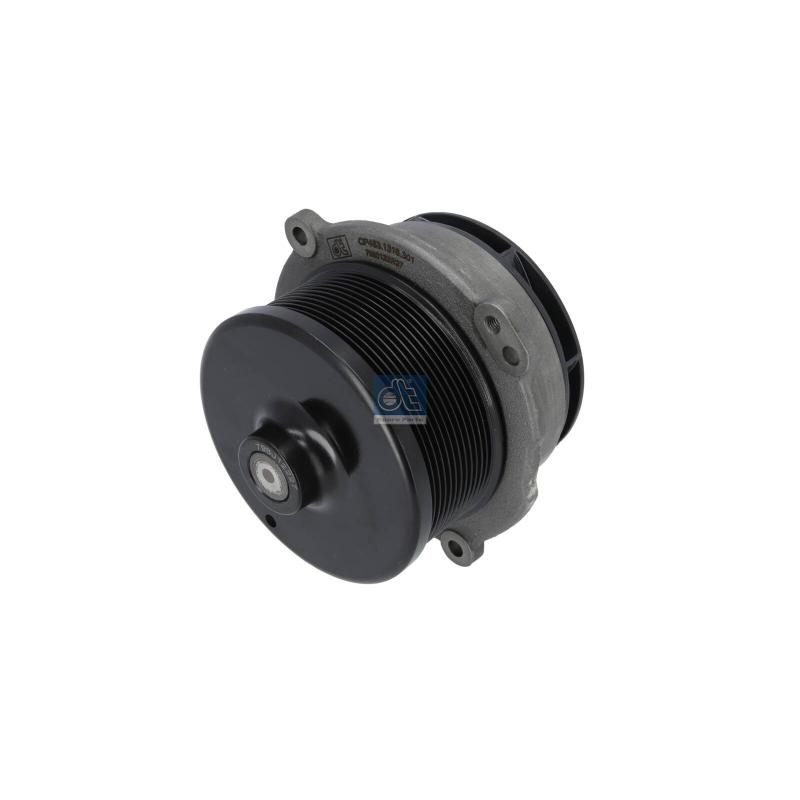 Pompe à eau DT 7.60301 - Visuel 3