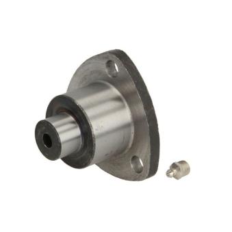 Pivot de fusée d'essieu S-TR STR-15A116