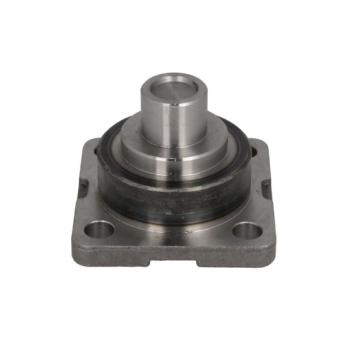 Pivot de fusée d'essieu S-TR STR-15A271