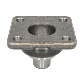 Pivot de fusée d'essieu S-TR STR-15A294