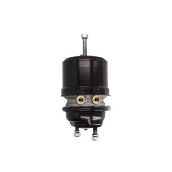 Cylindre de prétension SBP 05-BCT20/24-W02