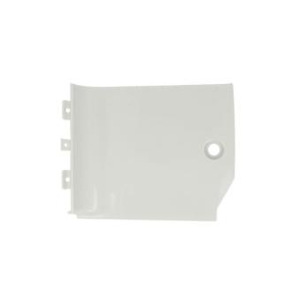 Marchepied PACOL DAF-SP-008L