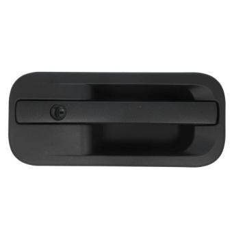 Poignée de porte PACOL DAF-DH-009L