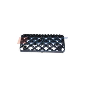 Marchepied AUGER 67619