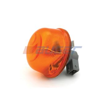 Feu clignotant AUGER 93012