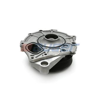 Pompe à eau AUGER 81811