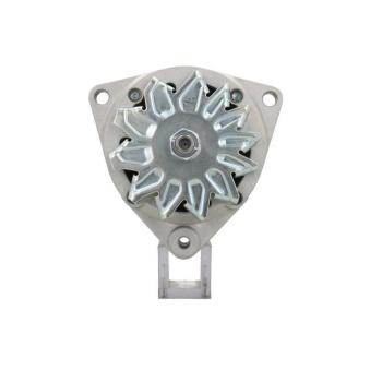 Alternateur BV PSH 556.002.055.313