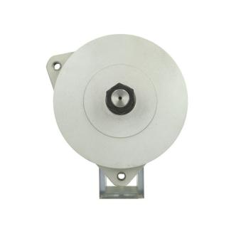 Alternateur BV PSH 556.015.120.010