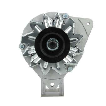 Alternateur BV PSH 596.002.030.100