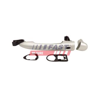 Poignée extérieure de porte FAST FT04237