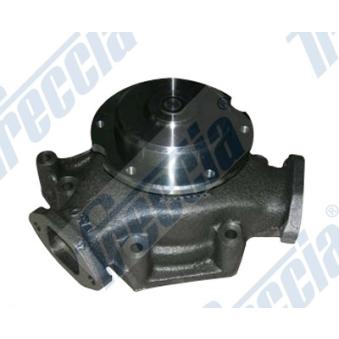 Pompe à eau FRECCIA WP0580