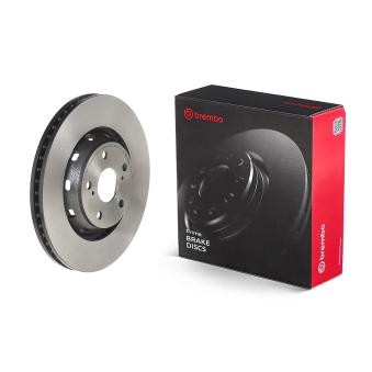 Jeu de 2 disques de frein avant BREMBO 09.N431.11