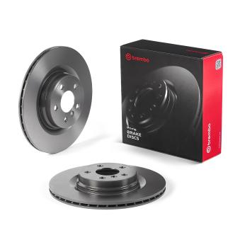 Jeu de 2 disques de frein arrière BREMBO 09.D175.11