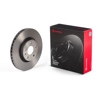 Disque de frein arrière BREMBO 09.N242.21