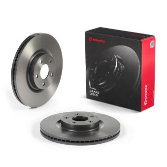 Jeu de 2 disques de frein arrière BREMBO 09.N256.31