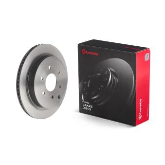Jeu de 2 disques de frein avant BREMBO 09.B631.11