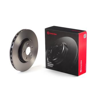Jeu de 2 disques de frein arrière BREMBO 09.C542.31