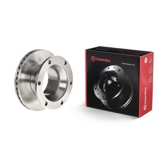 Jeu de 2 disques de frein arrière BREMBO 09.9493.20