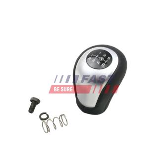 Pommeau de vitesses FAST FT73244