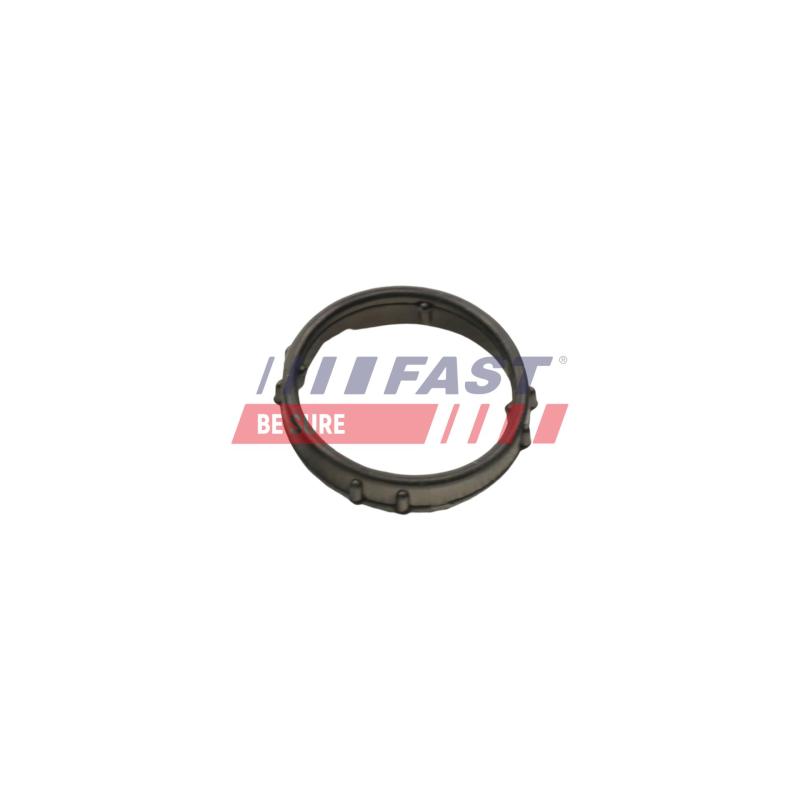 Joint d'étanchéité, pompe à eau FAST FT57406 - Visuel 1