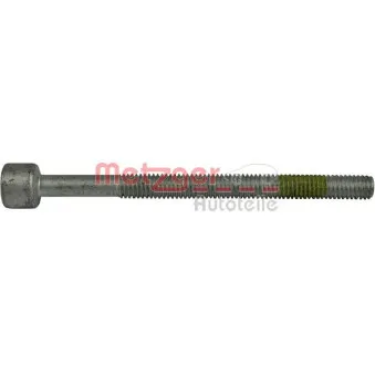 Vis, support pour controleur d'injecteurs METZGER