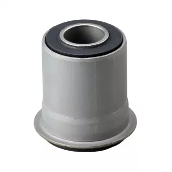 Silent bloc de l'essieu / berceau CTR GV0455