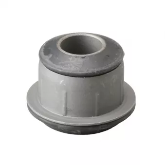 Silent bloc de l'essieu / berceau CTR GV0189