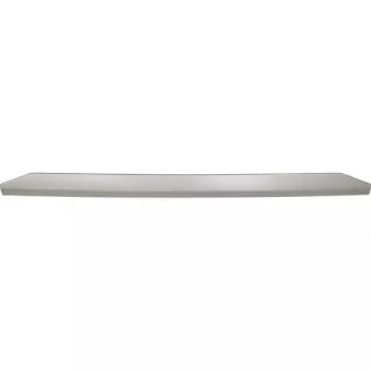 Enjoliveur, grille de radiateur PACOL DAF-FP-046