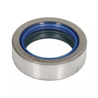 Joint d'étanchéité, différentiel BTA B06-2272