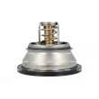 Thermostat, liquide de refroidissement NRF 725438 - Visuel 1