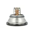 Thermostat, liquide de refroidissement NRF 725394 - Visuel 2