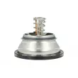 Thermostat, liquide de refroidissement NRF 725394 - Visuel 1