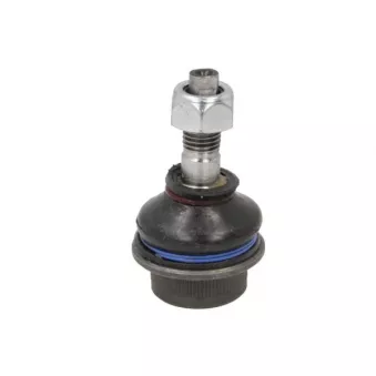 Support, commande d'embrayage REINHOCH