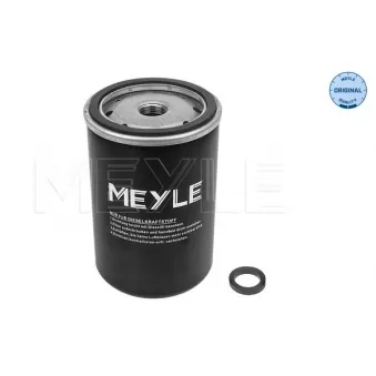 Filtre à carburant MEYLE