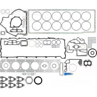 Pochette moteur complète VICTOR REINZ