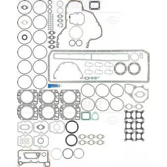 Pochette moteur complète VICTOR REINZ