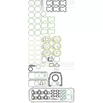 Pochette moteur complète VICTOR REINZ