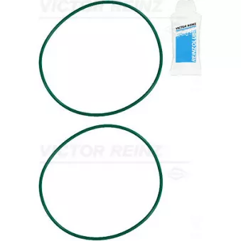 Jeu de joints d'étanchéité, chemise de cylindre VICTOR REINZ