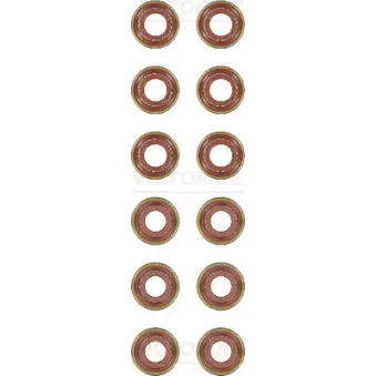 Jeu de joints d'étanchéité, tige de soupape VICTOR REINZ