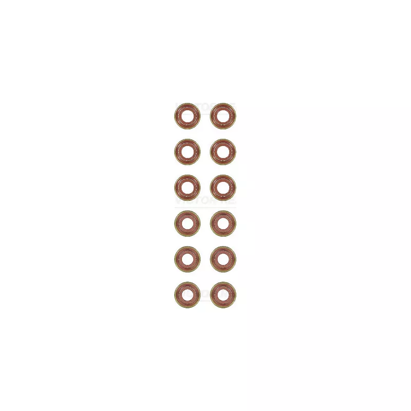 Jeu de joints d'étanchéité, tige de soupape VICTOR REINZ 12-10001-02