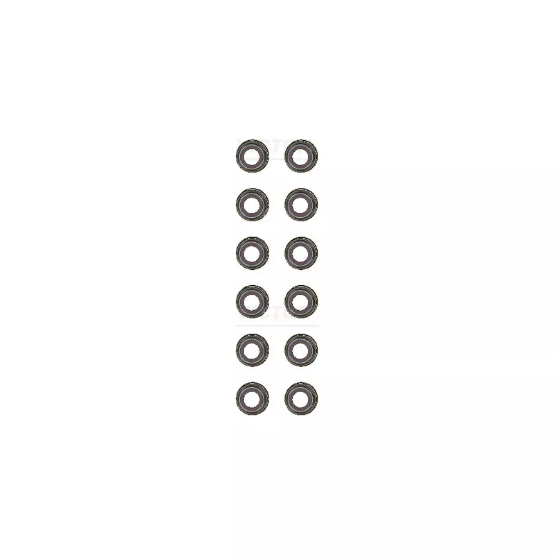 Jeu de joints d'étanchéité, tige de soupape VICTOR REINZ 12-38487-01