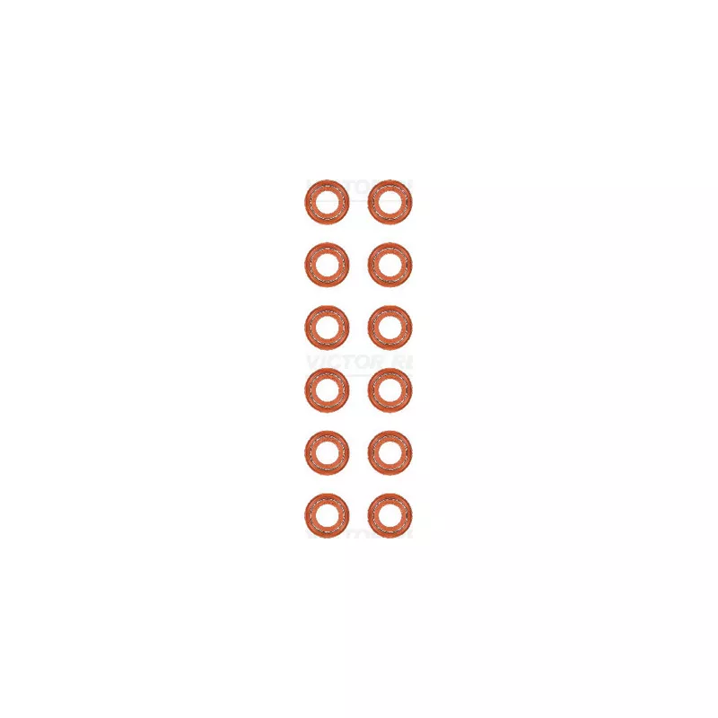 Jeu de joints d'étanchéité, tige de soupape VICTOR REINZ 12-40218-01