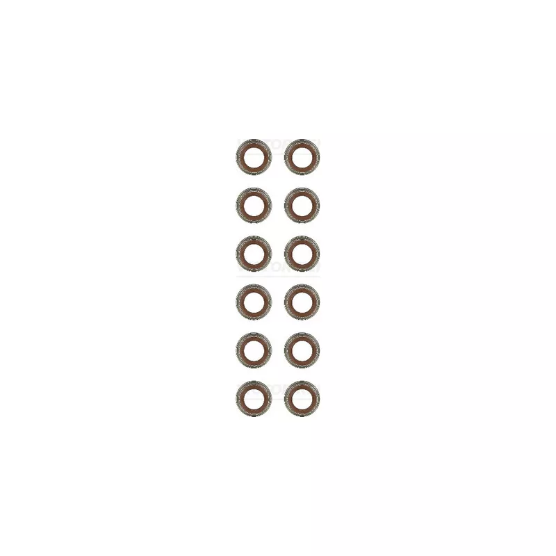 Jeu de joints d'étanchéité, tige de soupape VICTOR REINZ 12-24312-02