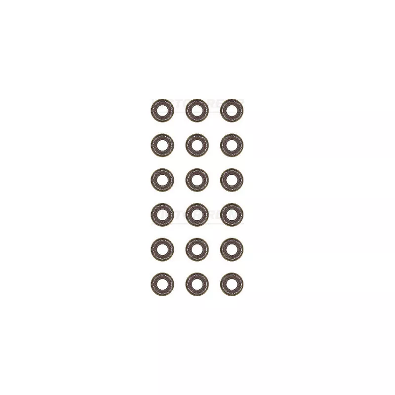 Jeu de joints d'étanchéité, tige de soupape VICTOR REINZ 12-36154-02